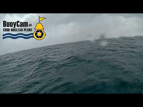 Buoy cam at Cook Nuclear Power Plant