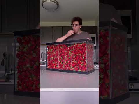30,000 strawberry challenge #experiment #amazingfacts
