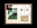 Aquifer Systems and Water Dynamics