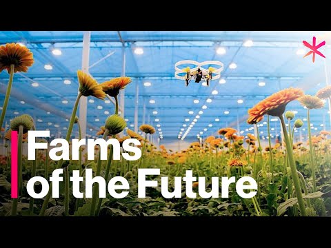 YouTube video thumbnail: The Futuristic Farms That Will Feed the World