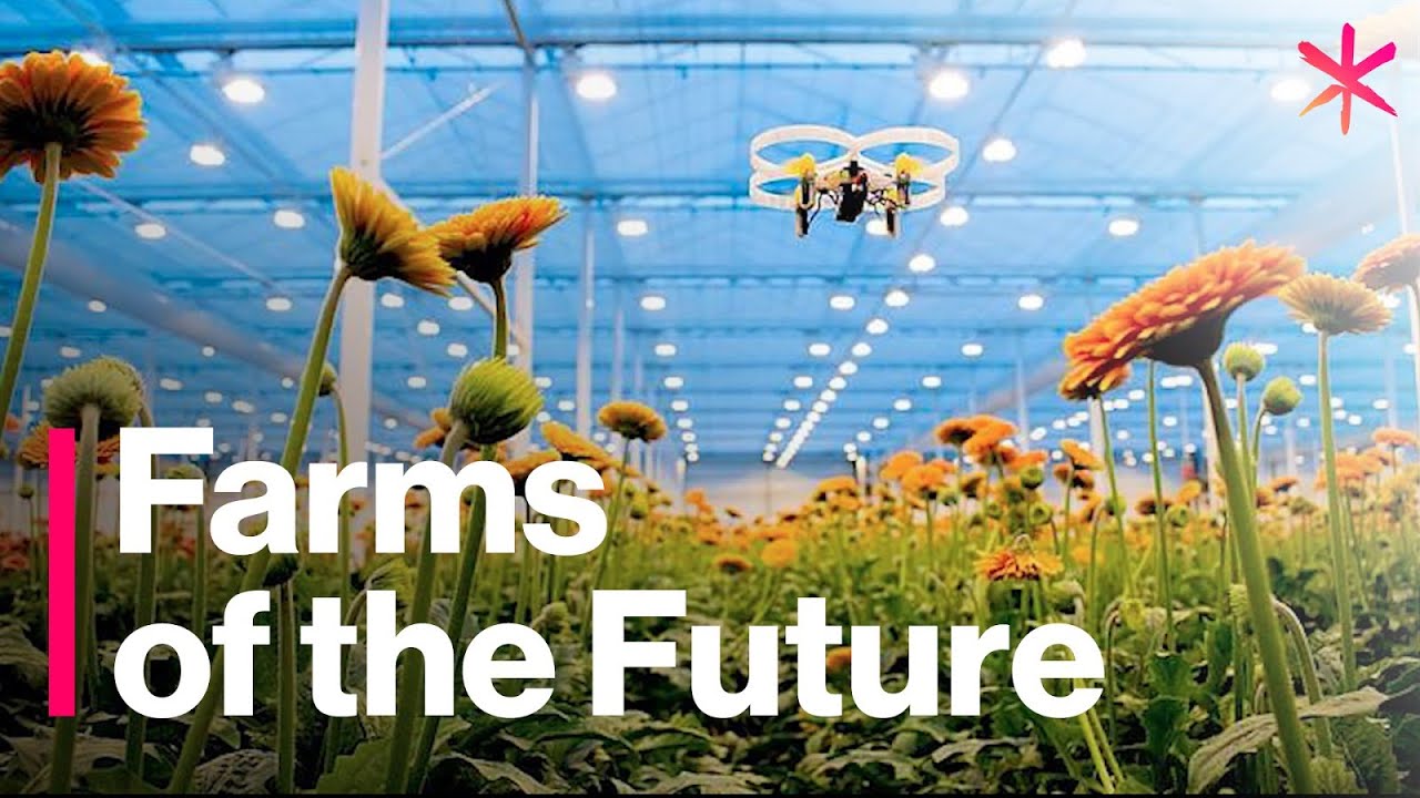The Futuristic Farms That Will Feed the World | Freethink | Future of Food