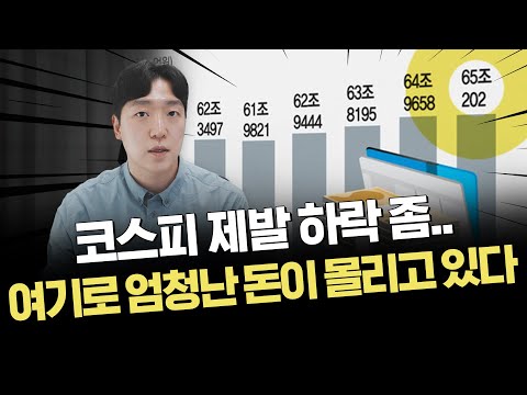 개인투자자들 러쉬 시작되나?｜당분간 주도주는 이곳｜이슈 및 시황