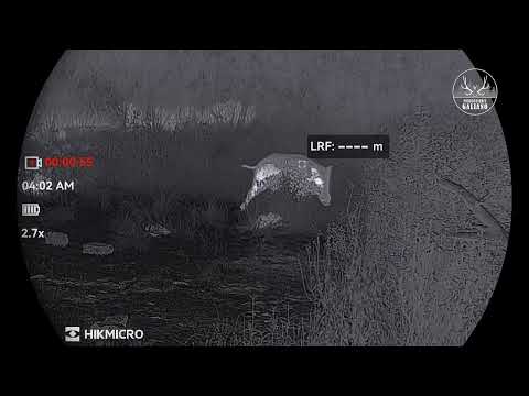LANCE DE JABALI | CONDOR 2.0 CQ50L | HIKMICRO