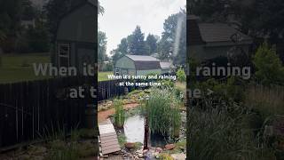 Rainshine is the best 🌦️