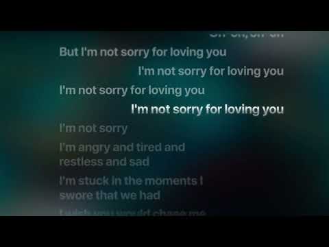Not Sorry for Loving You (Karaoke Calypso Version) | EPIC: The Vengeance Saga