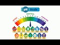 Understanding the pH Scale
