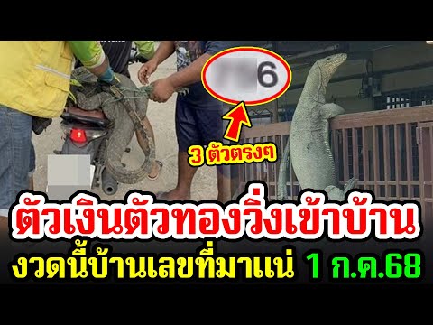 เลขเด็ด ตัวเงินตัวทองใหญ่มาก วิ่งเข้าบ้าน งวดนี้บ้านเลขที่มาแน่ 3 ตัวตรงๆ งวด 1 ก.ค.68