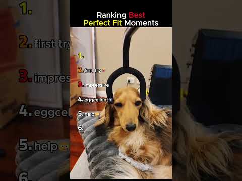 Ranking Best Perfect Fit Moments😎