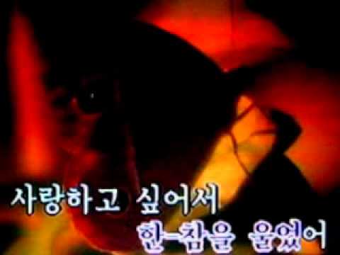[02475] 열정 (혜은이) ~ 금영 노래방/KumYoung 코러스 3000