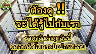 ต้องดูจะได้รู้ไปกับเรา !! ราคาวัวล่าสุดวันนี้"ตลาดนัดที่ใหญ่ที่สุดของจังหวัดสุรินทร์