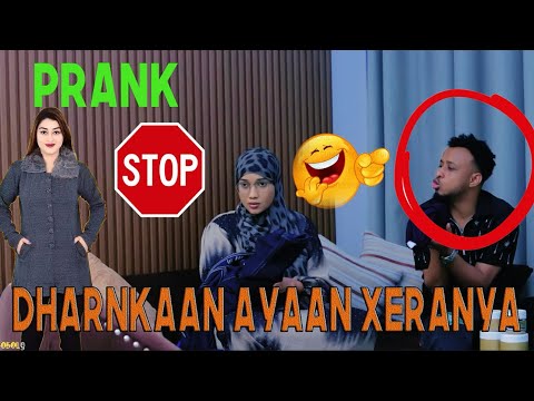 DHIIGA AYAAN KU KARIYAY HASSAN SOYA _ MARKAN DHAHAY  SURWAAL IYO FUNAANAD AYAAN XERANAYAA SIDA ……