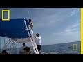 Diving Adventure Challenges and Roles