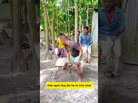 Cỡ đó mà còn không nhìn thấy