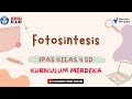 Kuis tentang Fotosintesis