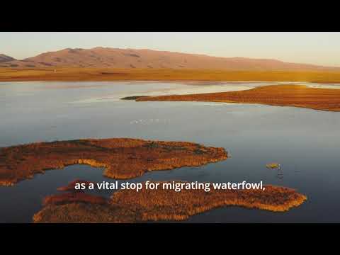 Lake Song - Kol