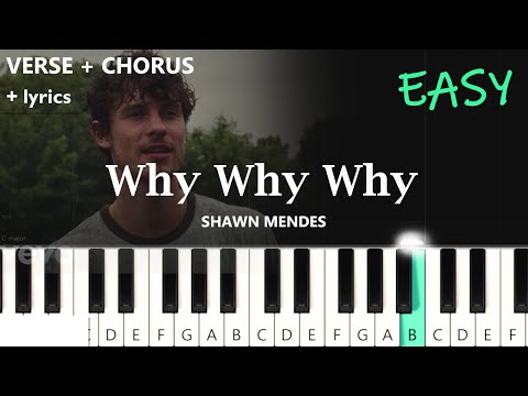 Shawn Mendes - Why Why Why  ~  EASY PIANO TUTORIAL + lyrics