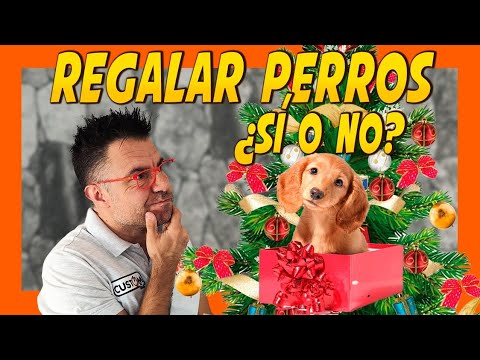 REGALAR PERROS EN NAVIDAD 🐶🎄 (Educación, Responsabilidad y Vidas Patéticas) Opinión sin filtros 🤬