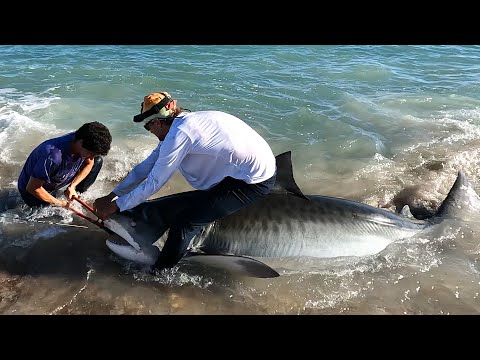 Top 5 WILDEST Shark Fishing moment’s caught on camera!!! (‘22/‘/23)