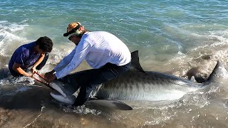 Top 5 WILDEST Shark Fishing moment’s caught on camera!!! (‘22/‘/23)