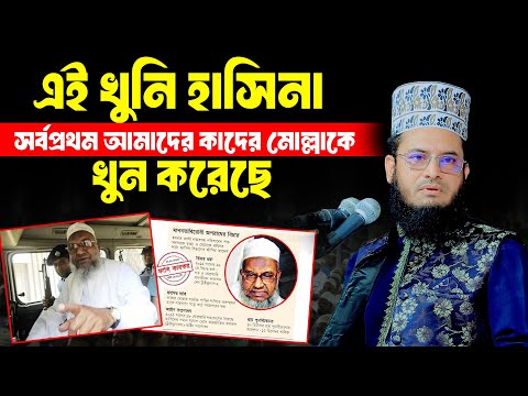 এই দুনিয়ায় হাসিনার বিচার দেখতে চাই । ড. মাওঃ মোঃ গোলাম মোর্শেদ 01712786411