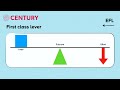 Understanding Levers