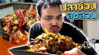 ตกปลาช่อนข้างทางมาทำลุยสวนอร่อยสุดๆ