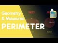 Understanding Perimeters