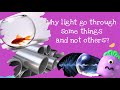 Properties and Behavior of Light