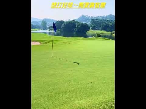 Cách xử lý tình huống bóng golf vướng chướng ngại vật #golfgreen