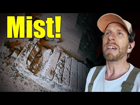 Ich hatte einen Plan – der Tag hatte einen anderen| JWS 33