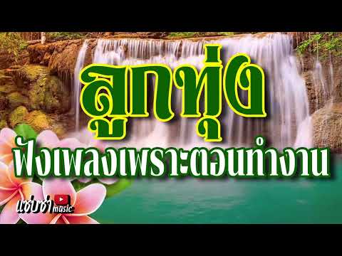 ลูกทุ่ง ฟังเพลงเพราะตอนทำงาน