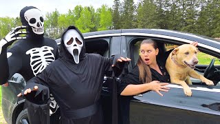 Skeleton Surprises Puppy & Scream with Car Ride Chase!