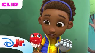 Dax and Wingo | Robogobo ⚡ | Disney Jr. MENA