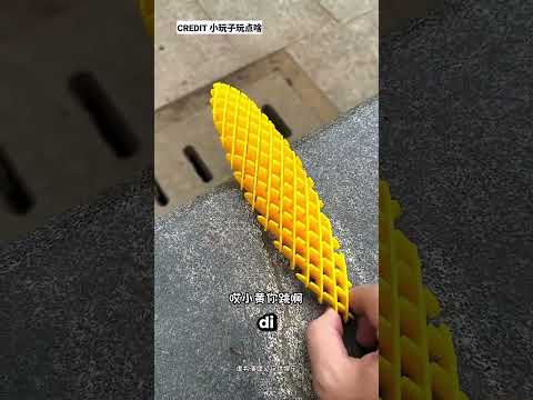 Cosa è successo a questi insetti colorati 😮