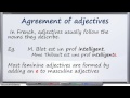 Mastering Agreement of Adjectives in French
