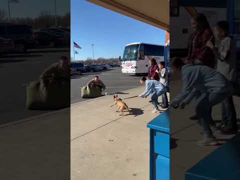 An old dog hugs its owner, who was discharged from the military after four years, at a bus stop.