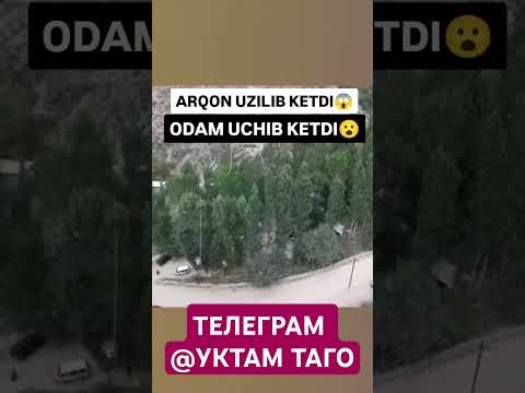 #реки #рекомендации #тикток #тренды