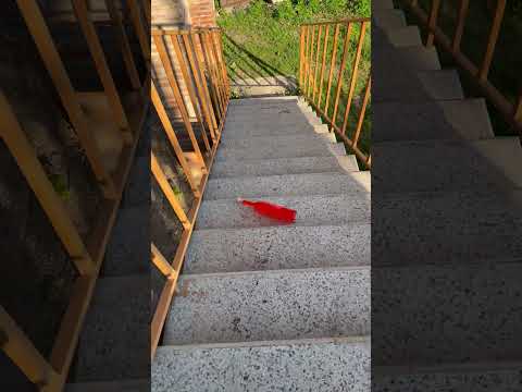 Bottle vs Stairs⚠️🔥 Rolling Bottles till the end ! #shortsvideo