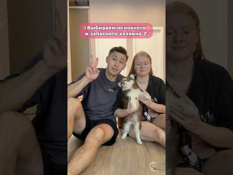 А у тебя как зовут питомца?🐶 #морозовы #юмор #отношения #собака #shorts