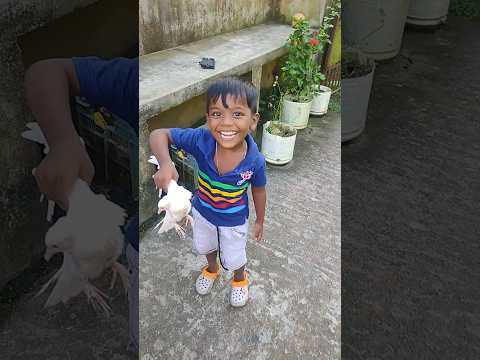 ছোট্ট একটা পাখি কোথা থেকে এলো #funny #boni #shorts #youtubeshorts #viralvideo #vlog #viral #yt #toys