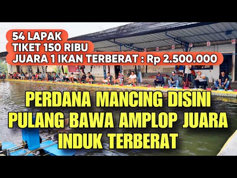 Umpan Juara Cuma Pakai Pelet Tanpa Deho Tanpa Kroto