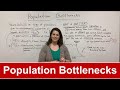 Population Bottlenecks and Genetic Diversity