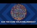 Understanding Color Blindness and Vision