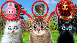 ВАШИ САМЫЕ ЛЮБИМЫЕ МЕМЫ! подряд 5 видео