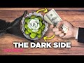 Cacti and Succulent Trade Issues