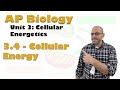 Energy Transfer and Reaction Efficiency