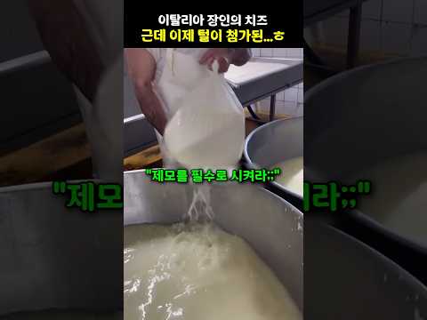 이탈리아 장인의 치즈 근데 이제 털이 첨가된…ㅎ