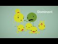 Genetics Concepts and Punnett Squares