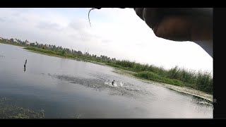 Tarzan Baitcasting Rod vs Regular Fishing Rod Which is BEST for Heavy Duty Fishing