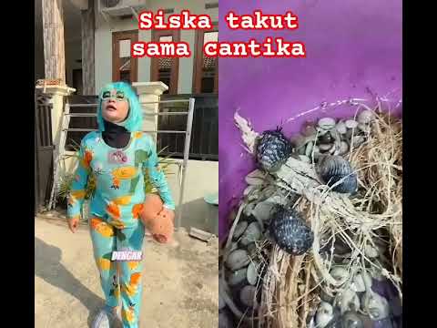 IHH, SISKA KOK KABUR, TAKUT SAMA CANTIKA YA NUR #nurrayni25 #nurrayni25real #trending
